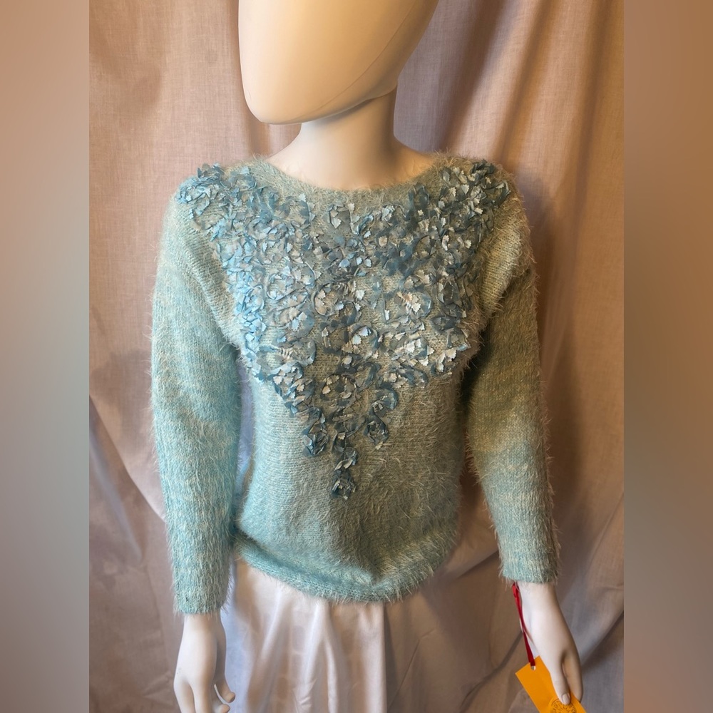 NWT Ruby Red sweater in glacier
